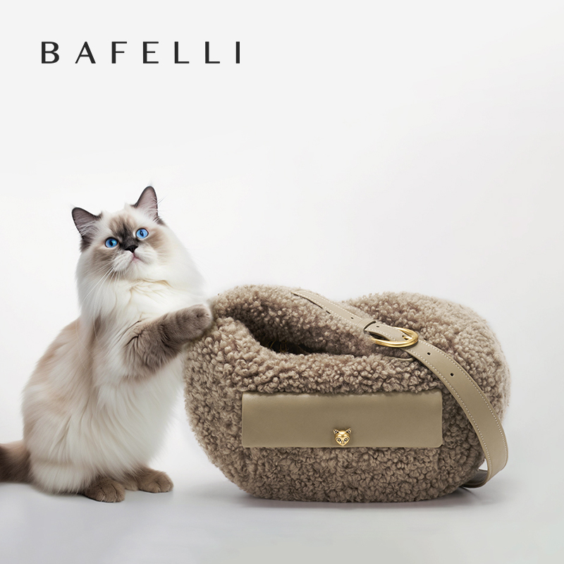 Luxury Bags Women Brands - Nuovo designer di lusso minimalista Small-Niche
